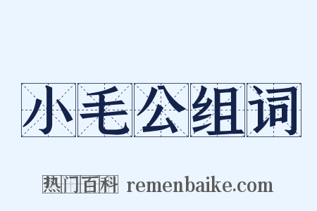 小毛公组词是什么意思的图片